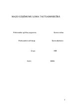 Referāts 'Mazo uzņēmumu loma tautsaimniecībā', 2.