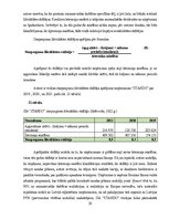 Prakses atskaite 'Finansu vadības prakses atskaite', 38.