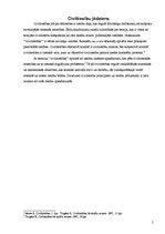 Eseja 'Civiltiesību vieta un loma tiesību sistēmā', 5.