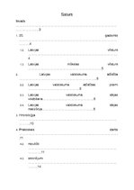 Referāts 'Latvijas valstiskuma veidošanās 20. gadsimta sākumā', 2.