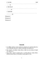 Referāts 'Latvijas valstiskuma veidošanās 20. gadsimta sākumā', 3.