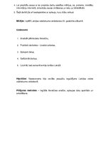 Referāts 'Latvijas valstiskuma veidošanās 20. gadsimta sākumā', 4.