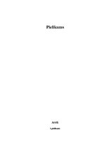 Konspekts 'Latvijas vēstures avoti', 6.