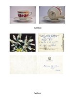 Konspekts 'Latvijas vēstures avoti', 7.