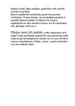 Konspekts 'Pasaules iedzīvotāju mozaīka', 7.