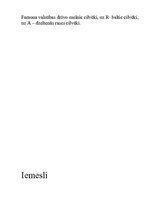 Konspekts 'Pasaules iedzīvotāju mozaīka', 9.