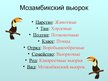 Prezentācija 'Мозамбикский вьюрок', 2.