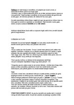 Prezentācija 'Gruzija - ārvalstu viesu apkalpošana', 17.