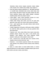 Konspekts 'Patstāvīgais darbs vizuālās mākslas mācību saturā un metodikā no 1.-4.klasei', 14.