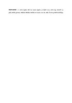 Konspekts 'Konstitucionālās tiesības', 5.