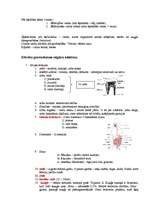 Konspekts 'Uzturs', 5.