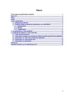 Referāts 'Valstu funkcijas globalizācijas laikmetā', 2.