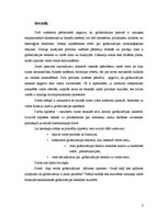 Referāts 'Valstu funkcijas globalizācijas laikmetā', 3.