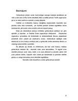 Referāts 'Valstu funkcijas globalizācijas laikmetā', 19.