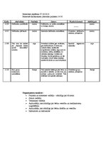 Paraugs 'Sporta un atpūtas nometnes "Septiņas dienas sporta aktivitātēs" projekts', 4.