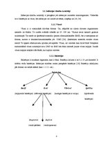 Referāts 'Bērnu infekcijas slimības', 6.