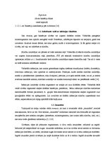 Referāts 'Bērnu infekcijas slimības', 7.