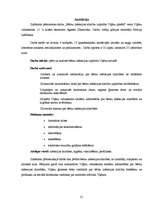 Referāts 'Bērnu infekcijas slimības', 31.