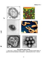 Referāts 'Bērnu infekcijas slimības', 34.