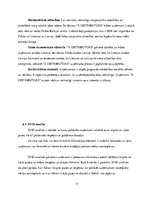 Diplomdarbs 'Attīstības analīze uzņēmumā - x distributors', 17.