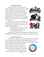 Diplomdarbs 'Attīstības analīze uzņēmumā - x distributors', 29.