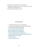 Diplomdarbs 'Attīstības analīze uzņēmumā - x distributors', 39.