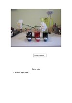 Prezentācija 'Ūdens un tajā izšķīdušo vielu plūsma augos', 3.