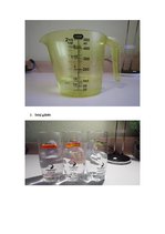 Prezentācija 'Ūdens un tajā izšķīdušo vielu plūsma augos', 4.