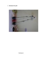 Prezentācija 'Ūdens un tajā izšķīdušo vielu plūsma augos', 7.