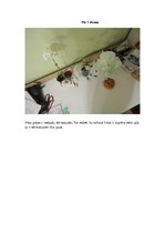 Prezentācija 'Ūdens un tajā izšķīdušo vielu plūsma augos', 8.