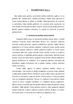 Diplomdarbs 'Saimnieciskās darbības analīze firmā', 12.