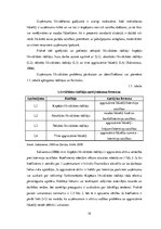 Diplomdarbs 'Saimnieciskās darbības analīze firmā', 19.