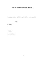 Diplomdarbs 'Saimnieciskās darbības analīze firmā', 80.