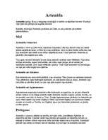 Konspekts 'Artemīda', 1.