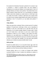 Referāts 'Latvijas slavenību sevis reprezentēšanas salīdzinājums ar slavenību raksturojumu', 4.