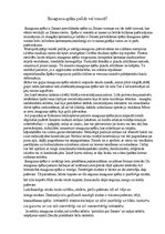 Eseja 'Smaguma spēks palīdz vai traucē?', 1.