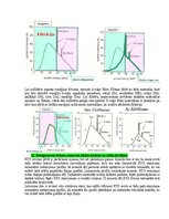 Paraugs 'Eksāmena atbildes Medicīniskās attēlošanas fizikālie pamati', 21.