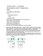 Paraugs 'Eksāmena atbildes Medicīniskās attēlošanas fizikālie pamati', 24.