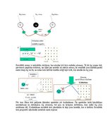 Paraugs 'Eksāmena atbildes Medicīniskās attēlošanas fizikālie pamati', 45.
