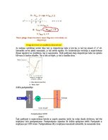 Paraugs 'Eksāmena atbildes Medicīniskās attēlošanas fizikālie pamati', 51.