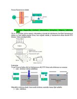 Paraugs 'Eksāmena atbildes Medicīniskās attēlošanas fizikālie pamati', 52.
