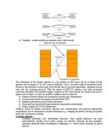 Paraugs 'Eksāmena atbildes Medicīniskās attēlošanas fizikālie pamati', 79.