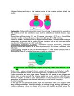 Paraugs 'Eksāmena atbildes Medicīniskās attēlošanas fizikālie pamati', 87.