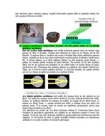 Paraugs 'Eksāmena atbildes Medicīniskās attēlošanas fizikālie pamati', 88.