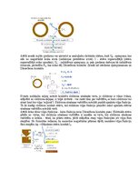 Paraugs 'Eksāmena atbildes Medicīniskās attēlošanas fizikālie pamati', 95.