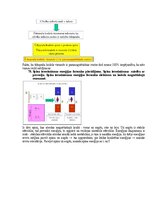 Paraugs 'Eksāmena atbildes Medicīniskās attēlošanas fizikālie pamati', 102.