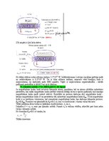 Paraugs 'Eksāmena atbildes Medicīniskās attēlošanas fizikālie pamati', 107.