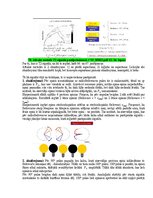Paraugs 'Eksāmena atbildes Medicīniskās attēlošanas fizikālie pamati', 111.