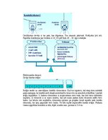 Paraugs 'Eksāmena atbildes Medicīniskās attēlošanas fizikālie pamati', 128.