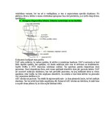 Paraugs 'Medicīniskās attēlošanas fizikālie pamati', 19.